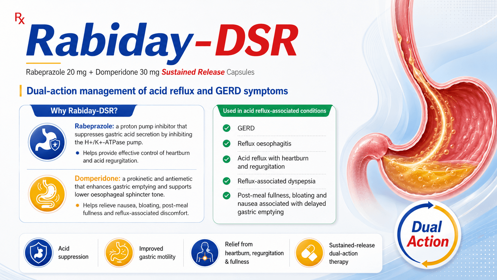 Rabiday-DSR