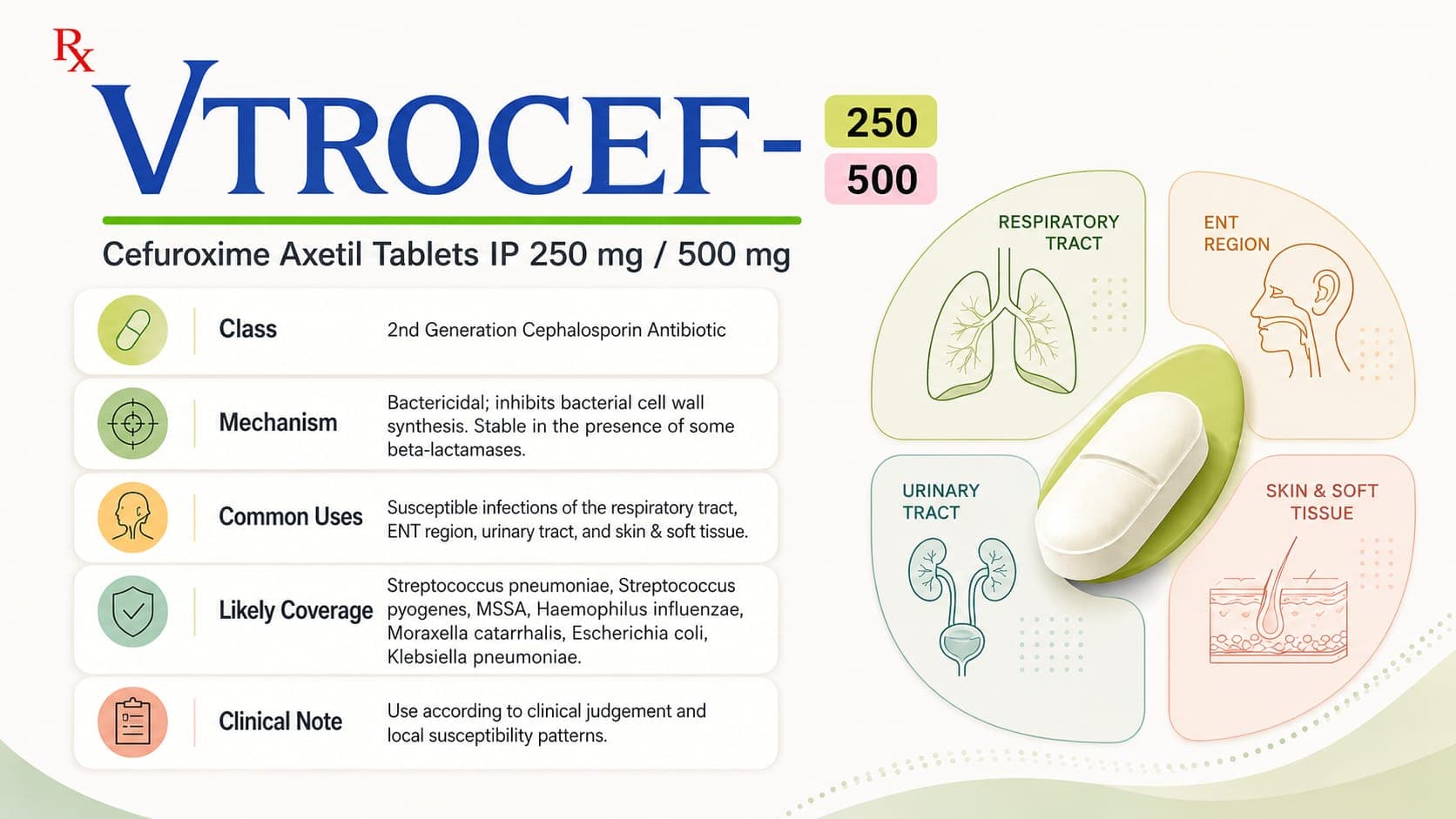 Vtrocef Tablets visual aid: Cefuroxime Axetil 250 mg / 500 mg by Macron Health Care